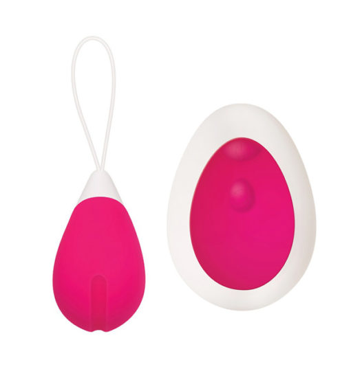 Remote Control Egg - Evolved - Image 2